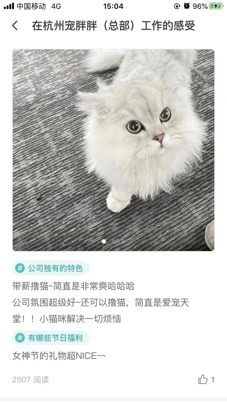 宠胖胖公司怎么样加班 宠胖胖公司怎么样加班