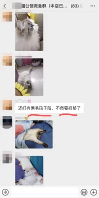 疫情下你以为是人在养宠物,其实宠物也在帮人 疫情下你以为是人在养宠物,其实宠物也在帮人