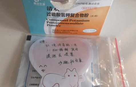 封控的宠物医院里,忧虑的人 封控的宠物医院里,忧虑的人