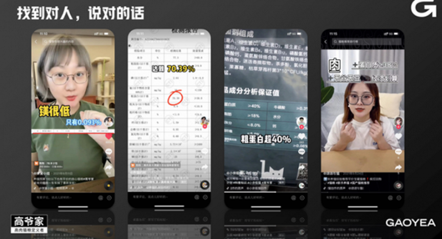 养猫方知父母恩，宠物新消费让我眼花缭乱