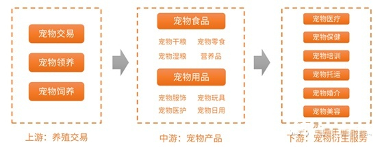 宠胖胖与麻花特开心携手出道,爱宠吸金两不误 宠胖胖与麻花特开心携手出道,爱宠吸金两不误