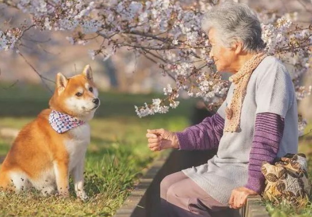 因为养狗,一年减了177斤 因为养狗,一年减了177斤