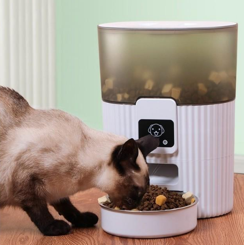 iPhone13远程搞定宠物零食机 让毛孩子保持好身材