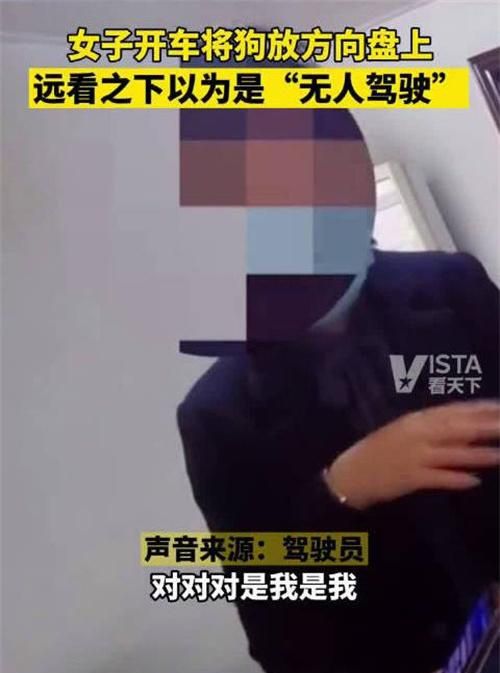 温州一起爱狗人士让狗开车引发的荒唐闹剧 温州一起爱狗人士让狗开车引发的荒唐闹剧