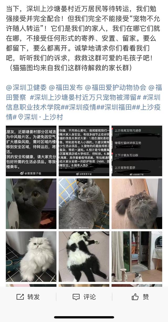 f31fbe096b63f624f765b7ac42eec0f21b4ca39e.jpeg f31fbe096b63f624f765b7ac42eec0f21b4ca39e.jpeg