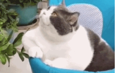  08 .png