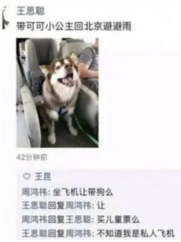 王思聪的宠物保姆，赵子易