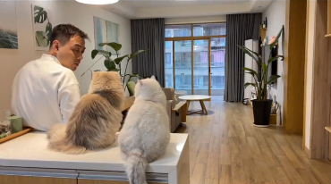 刘涛同学和晚晚是哪儿人