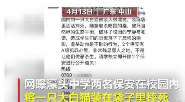 网曝广东一中学保安,将流浪猫装袋子摔死!学校:没摔死,放生了 网曝广东一中学保安,将流浪猫装袋子摔死!学校:没摔死,放生了