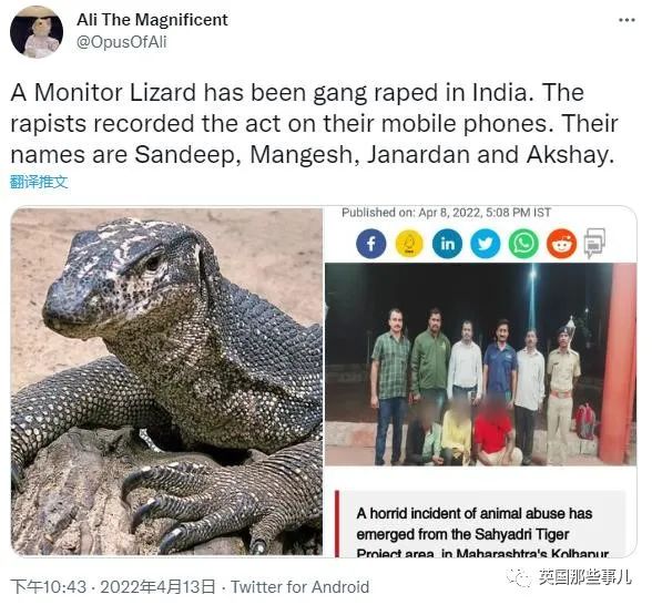 震惊！印度4男子擅闯老虎保护区，性侵孟加拉巨蜥，还拍下现场视频！？.jpg
