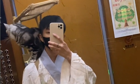 妈耶是只猫博主长什么样.png