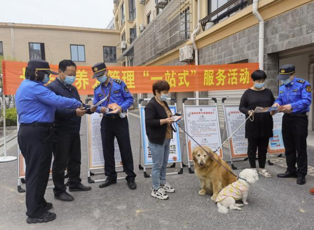 文明养犬有新招,湖州长兴“宠物公厕”上线啦 文明养犬有新招,湖州长兴“宠物公厕”上线啦