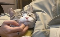 妈耶是只猫的爸爸露脸照片