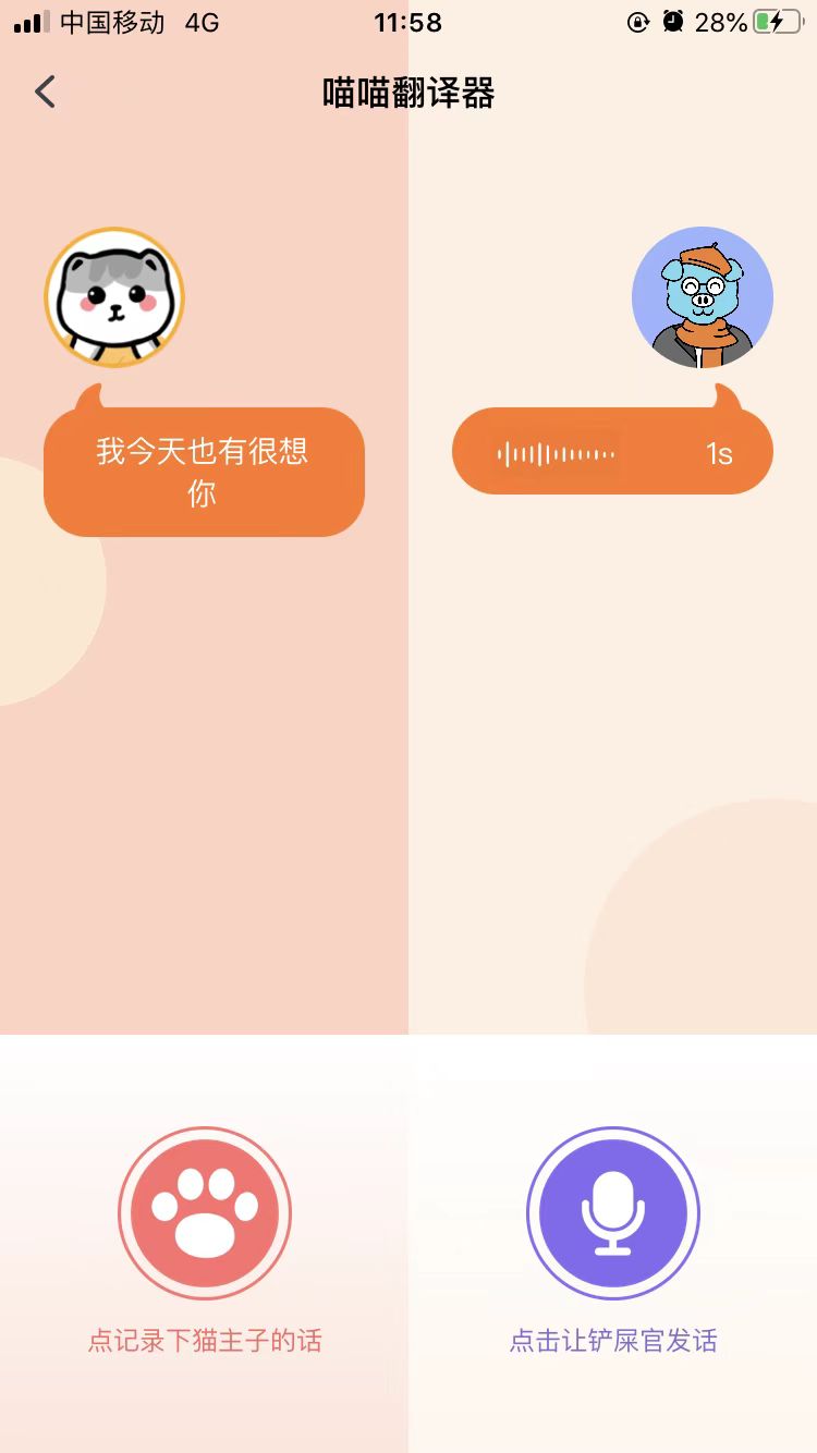 宠胖胖翻译是真的吗