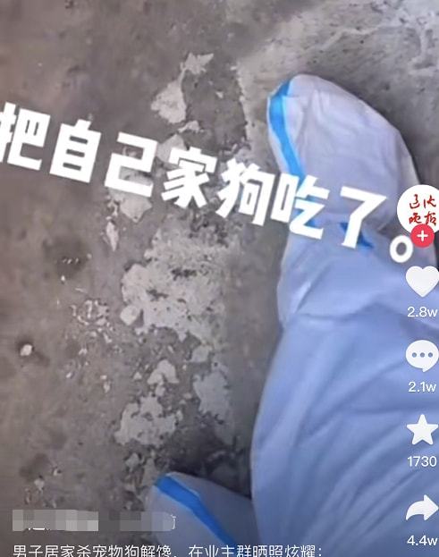 男子居家杀宠物狗解馋，其态度嚣张：谁规定不让吃狗肉了