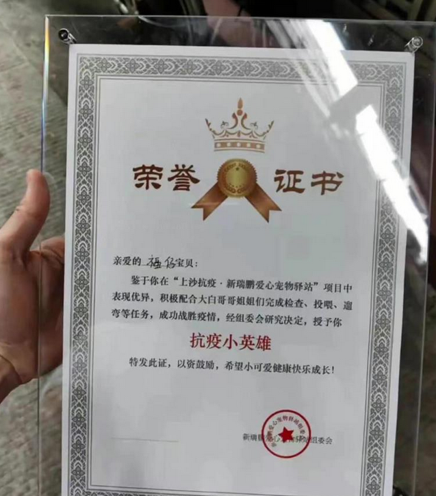 深圳201只宠物获“抗疫小英雄”荣誉证书