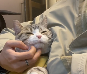 妈耶是只猫的爸爸露脸照片.png