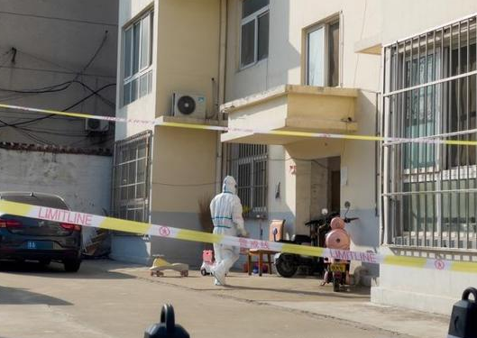 被隔离无法照顾家里的宠物?济南有一群志愿者帮你上门投喂 被隔离无法照顾家里的宠物?济南有一群志愿者帮你上门投喂