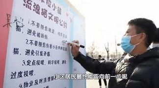 爱心投喂引争议,流浪猫管理该如何解答? 爱心投喂引争议,流浪猫管理该如何解答?