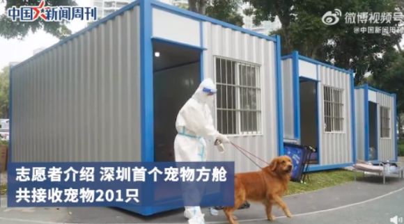 24位上海市人大代表联名建议：疫情期间设宠物健康驿站！