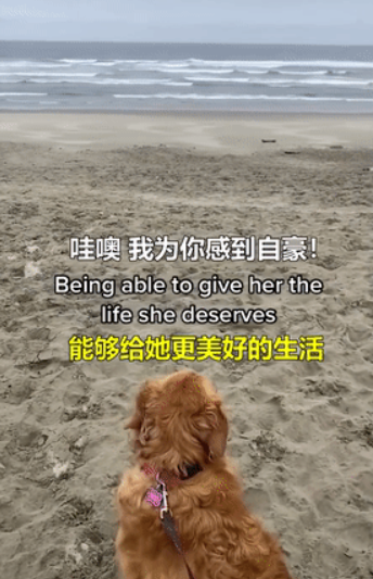 因为养狗,一年减了177斤 因为养狗,一年减了177斤
