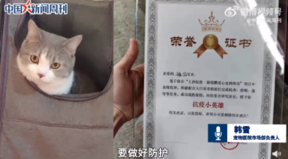 24位上海市人大代表联名建议：疫情期间设宠物健康驿站！
