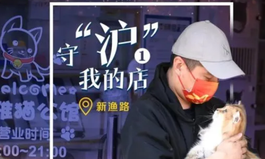 守“沪”我的店｜再苦不能苦了猫主子