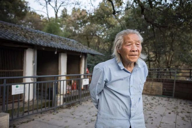 凤凰山上1人动物园，82岁老翁苦守33年，1天来客仅3人