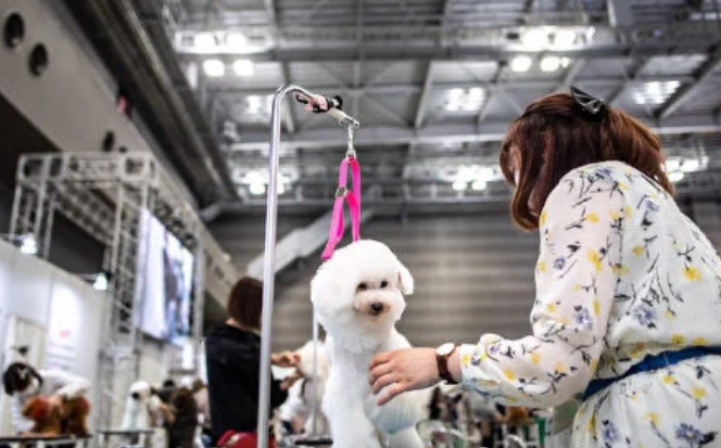 2022日本东京宠物用品展 可爱动物聚集