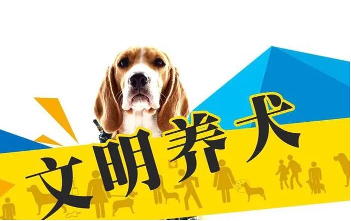 《石家庄市养犬管理条例》将于6月15日起实施