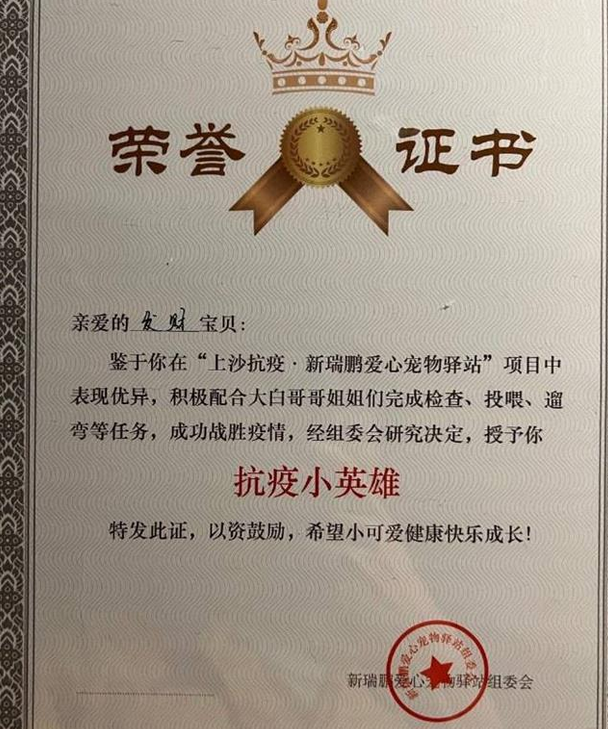 深圳201只宠物获“抗疫小英雄”荣誉证书