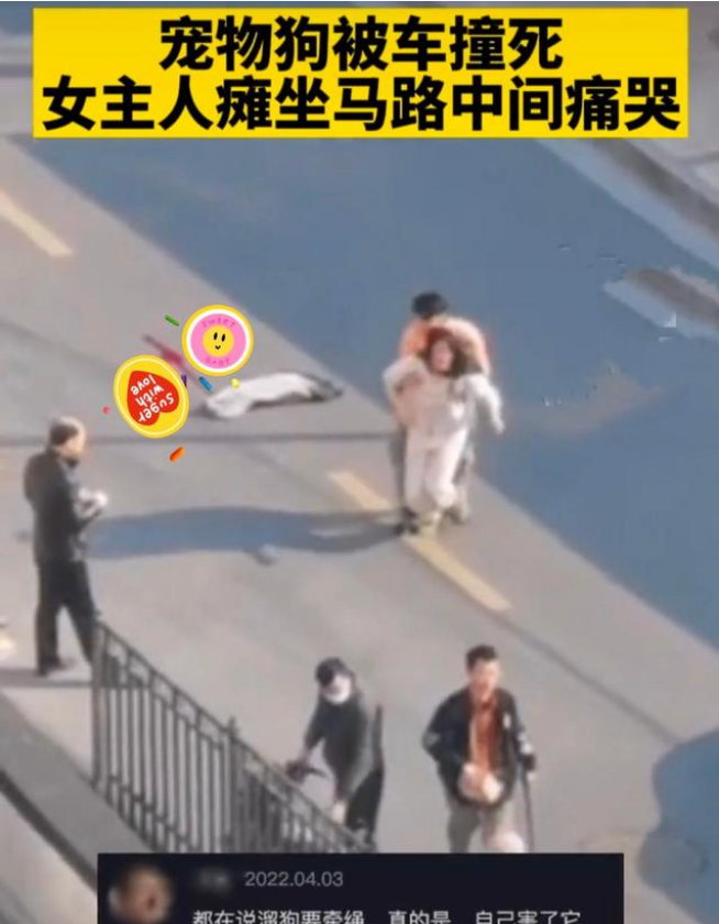 江苏：宠物狗被车撞死女主人瘫坐马路中间痛哭，网友称没拴狗绳