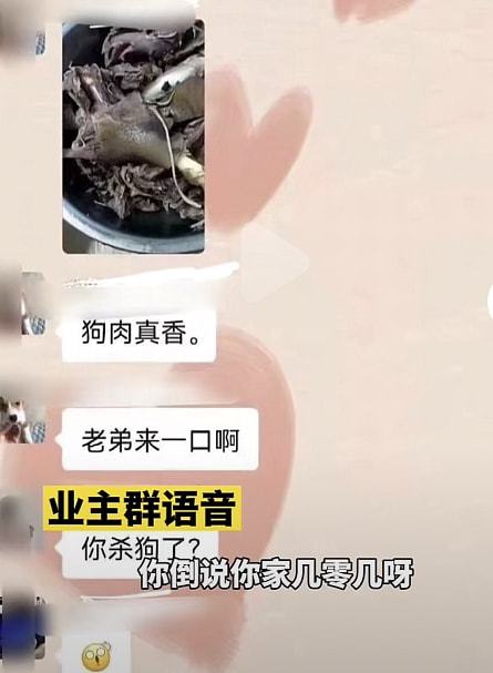 男子居家杀宠物狗解馋，其态度嚣张：谁规定不让吃狗肉了