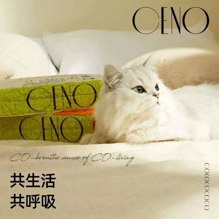 拓展植物猫砂新边界,新型谷物猫砂的开创者CENO 谷物猫砂单品销售超百万包 .jpeg 拓展植物猫砂新边界,新型谷物猫砂的开创者CENO 谷物猫砂单品销售超百万包 .jpeg