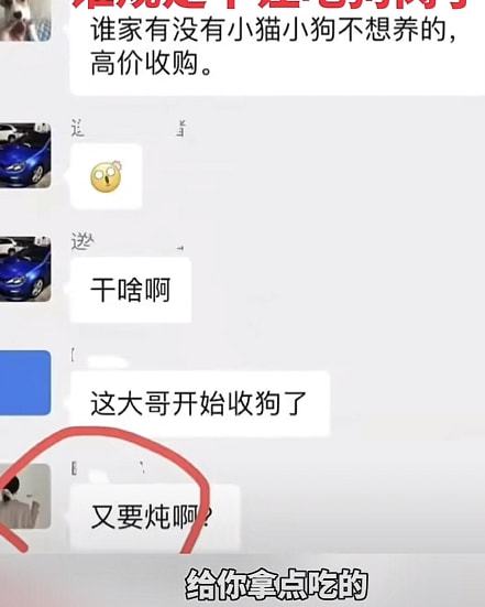 男子居家杀宠物狗解馋，其态度嚣张：谁规定不让吃狗肉了