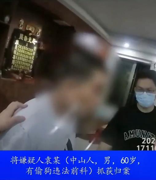 狗被喷不明液体后迅速死亡,江门公安:嫌犯被抓获,有偷狗前科 狗被喷不明液体后迅速死亡,江门公安:嫌犯被抓获,有偷狗前科