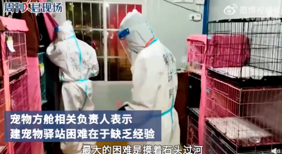 24位上海市人大代表联名建议：疫情期间设宠物健康驿站！
