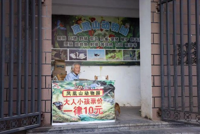 凤凰山上1人动物园，82岁老翁苦守33年，1天来客仅3人.png