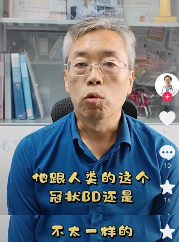 疫情之下，宠物该如何生存
