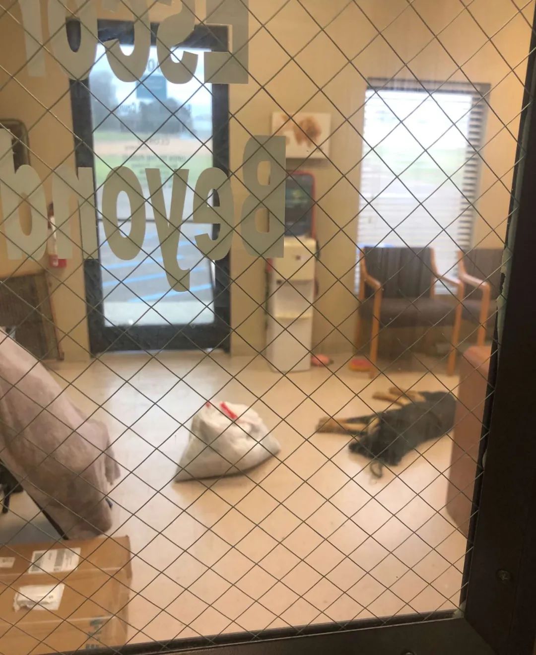 为何17岁无家少年会送走爱犬?狗狗却仍坚定守门口等他...幸好结局超暖!.jpg 为何17岁无家少年会送走爱犬?狗狗却仍坚定守门口等他...幸好结局超暖!.jpg