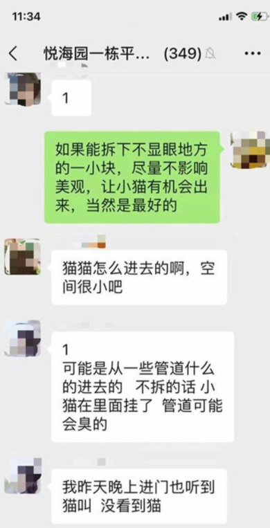 暖心!流浪猫被困墙缝,爱心居民接力救援 暖心!流浪猫被困墙缝,爱心居民接力救援