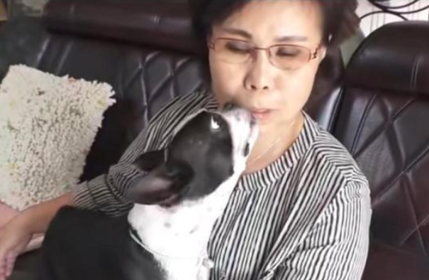 太神奇了!主人用嘴喂了狗6年,让狗吸他的胳膊 太神奇了!主人用嘴喂了狗6年,让狗吸他的胳膊