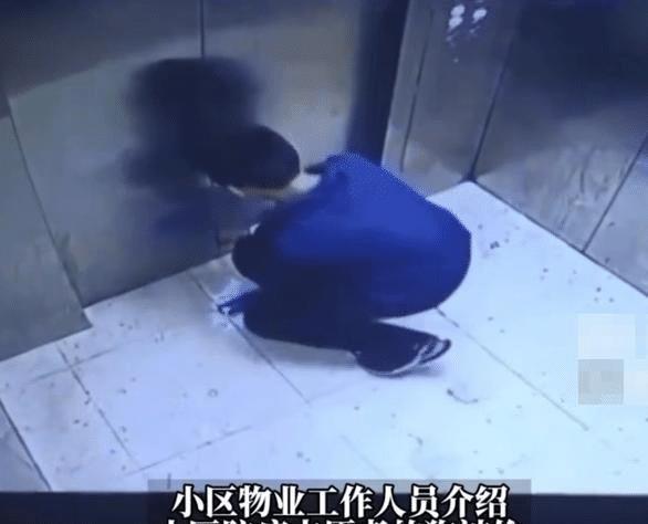 男孩利用电梯吊死宠物狗，引起众怒，家长却责怪物业曝光视频