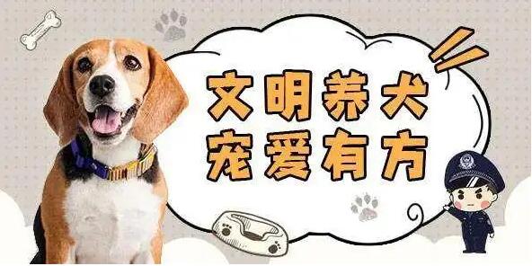《石家庄市养犬管理条例》将于6月15日起实施