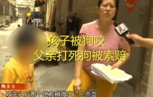 6岁男童被狗咬伤,反被狗主人索赔2万,难道小孩的命没狗值钱？