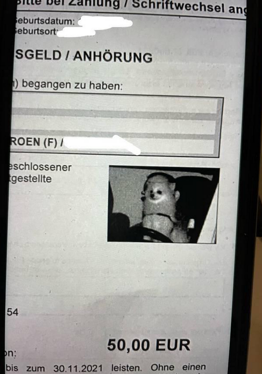 德国男子收到交通罚单,开车者竟是自家宠物狗? 德国男子收到交通罚单,开车者竟是自家宠物狗?
