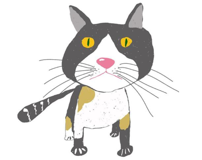 皇家猫粮怎么样？