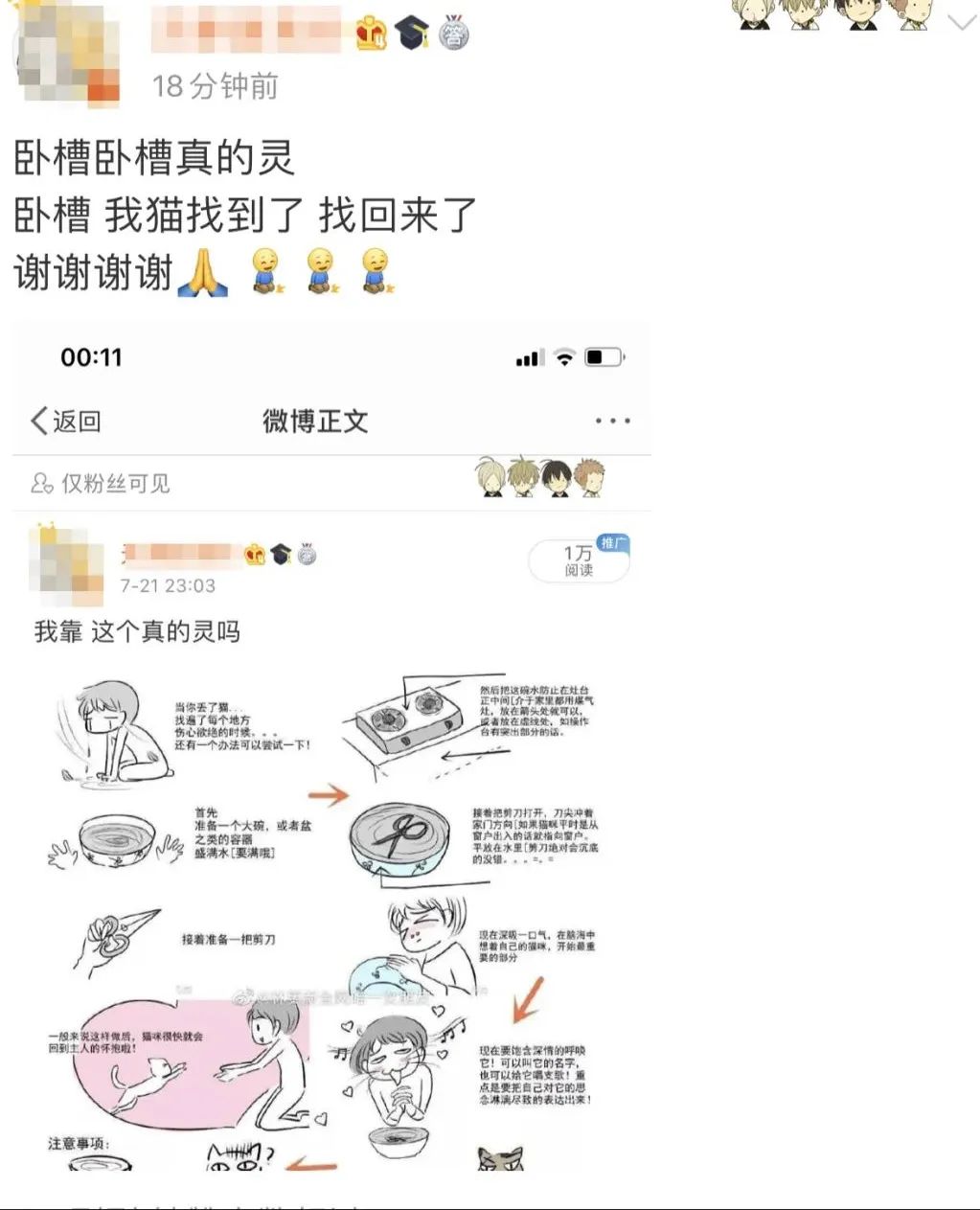 “我在回家路上捡到一只猫，竟是袁爷爷养的猫！”
