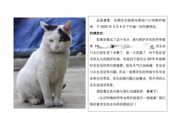 四川大学上百只流浪猫的证件照走红网络,幕后的故事居然这么劲爆! 四川大学上百只流浪猫的证件照走红网络,幕后的故事居然这么劲爆!