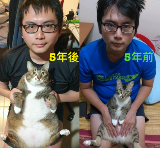 网友救下险些被人渣吃的小猫,没想到五年后,网友和猫都... 网友救下险些被人渣吃的小猫,没想到五年后,网友和猫都...